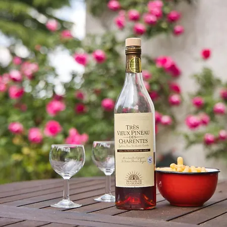 Maison Calme Dans Un Beau Jardin La Roche-Chalais