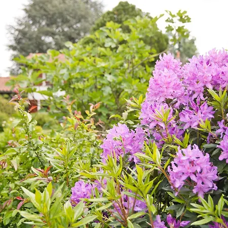 Maison Calme Dans Un Beau Jardin La Roche-Chalais