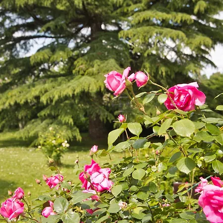 Maison Calme Dans Un Beau Jardin