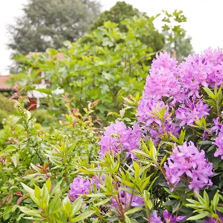 Maison Calme Dans Un Beau Jardin * La Roche-Chalais
